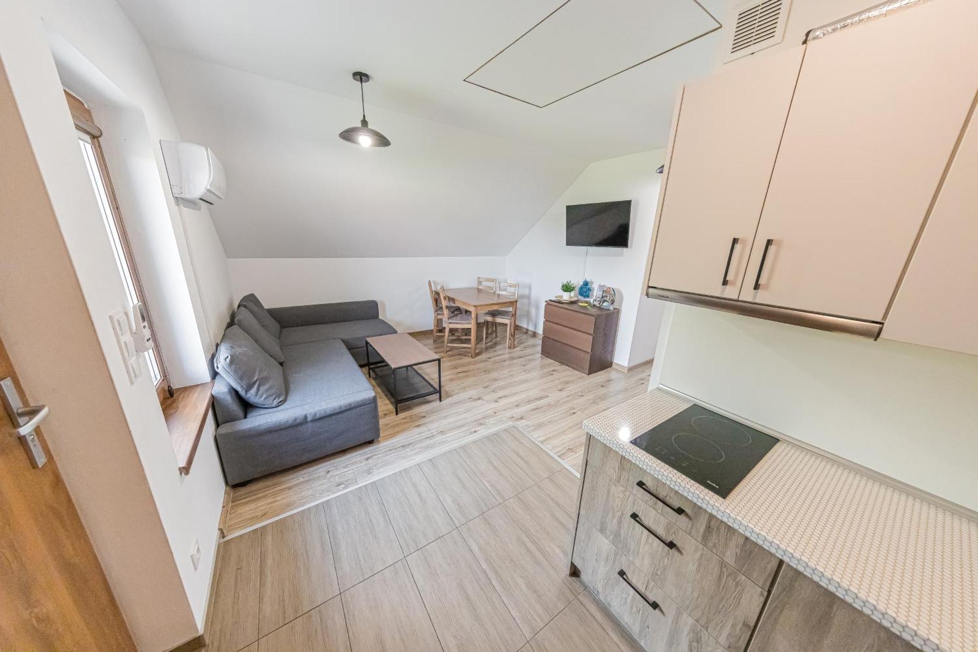 Energylandia Domki-Apartamenty U Agi G 扎托尔 外观 照片
